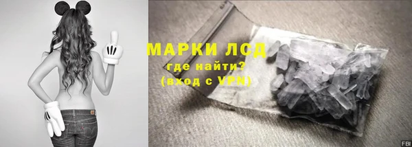 прущие грибы Балахна