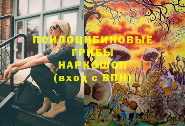 прущие грибы Балахна