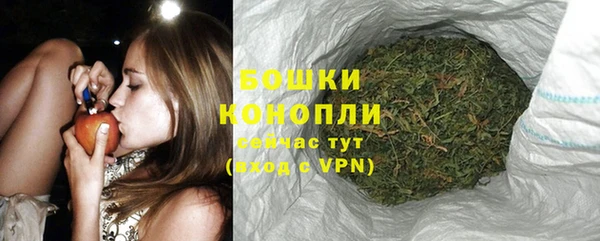 прущие грибы Балахна